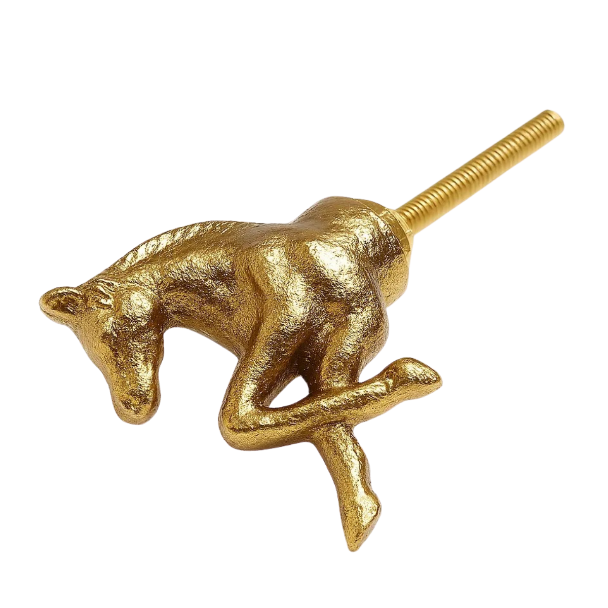 Tano horse knob gold - Gold