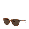 Unisex Sunglasses - 820//73