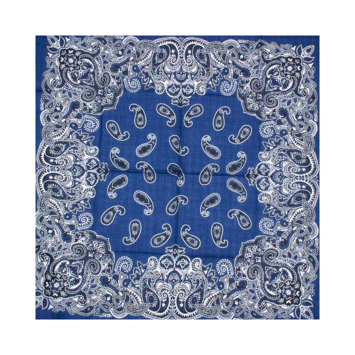 Valence Scarf - Blue