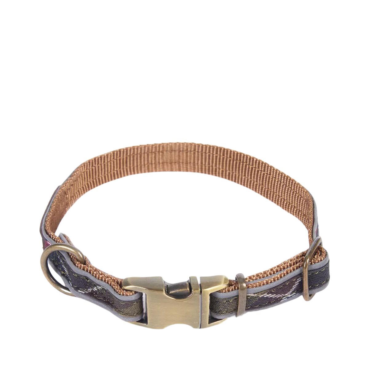 Reflective Dog Collar - Green